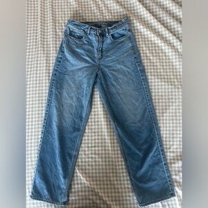 American Eagle Strigid Baggy Straight Jeans